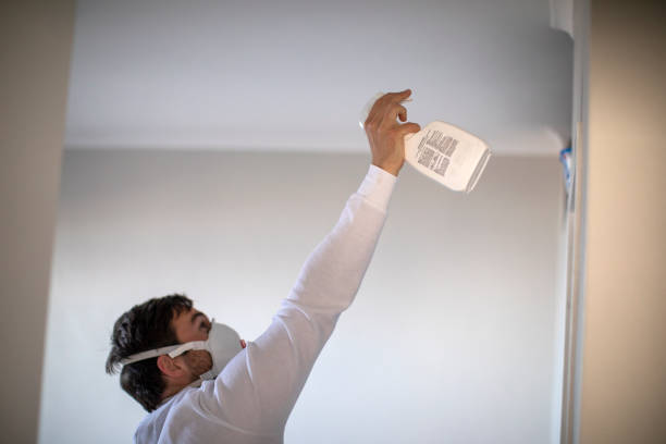 Best Commercial Mold Remediation in Mirrormont, WA