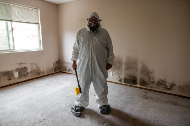 Mirrormont, WA Mold Remediation Company